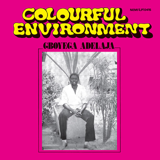 GBOYEGA ADELAJA Colourful Environment