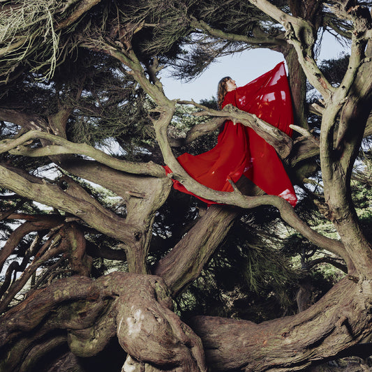 Hannah Frances Nested In Tangles (Ruby Red Vinyl)