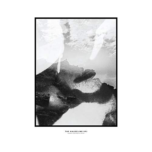 Hippo Campus The Halocline Eps