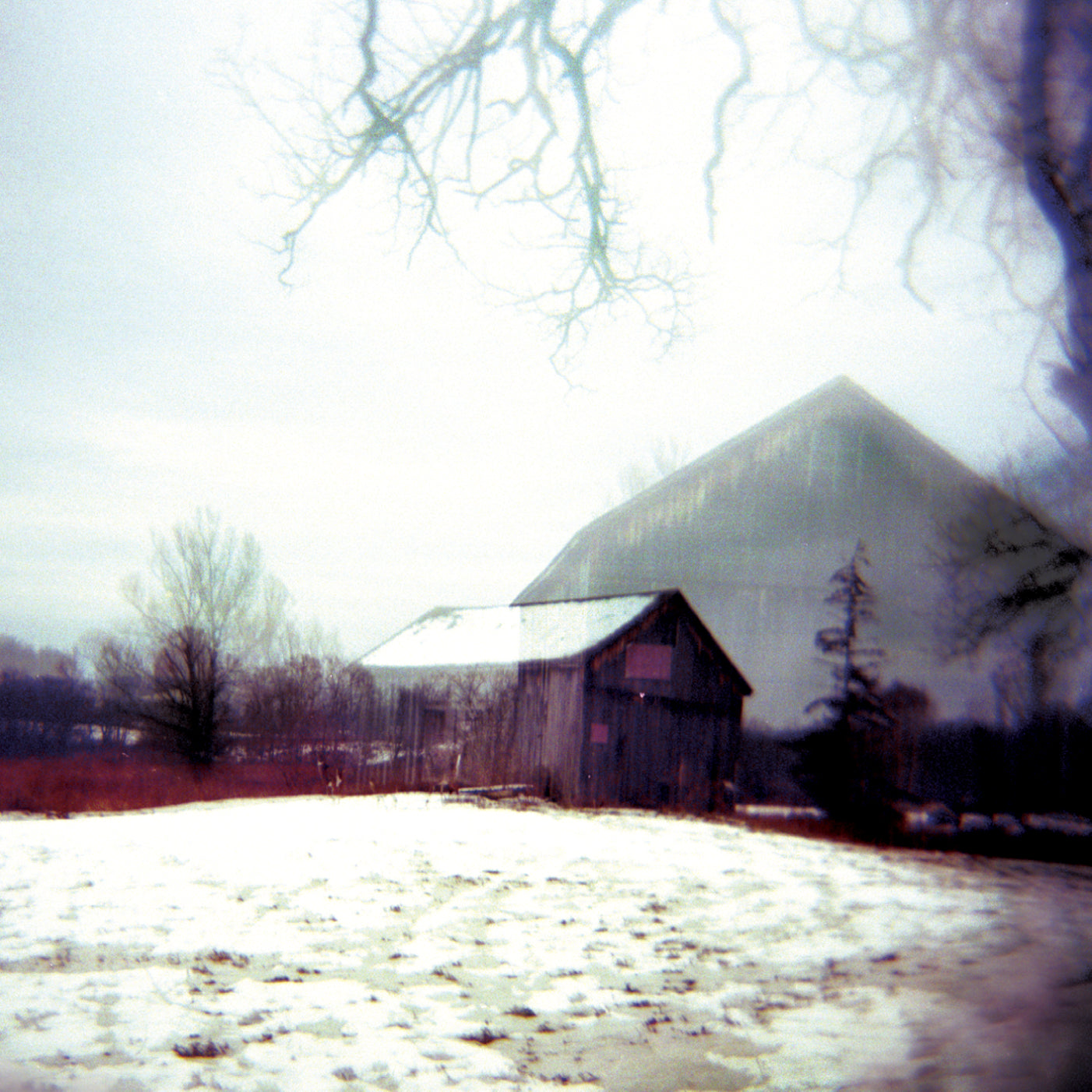 Horse Feathers House With No Home