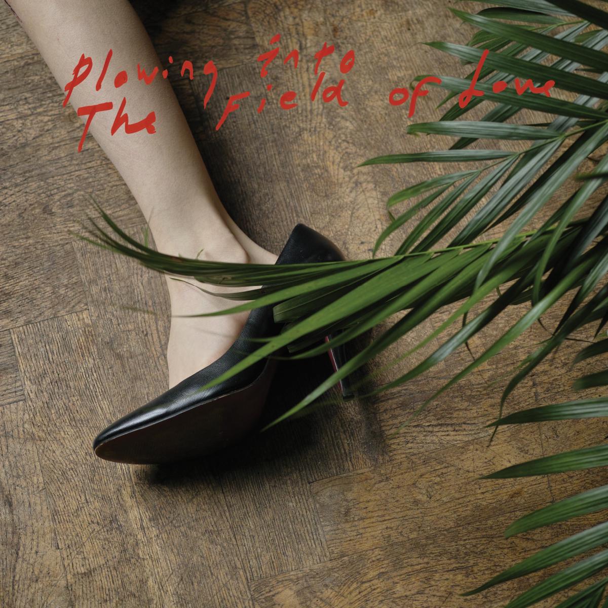 Iceage Plowing Into the Field of Love