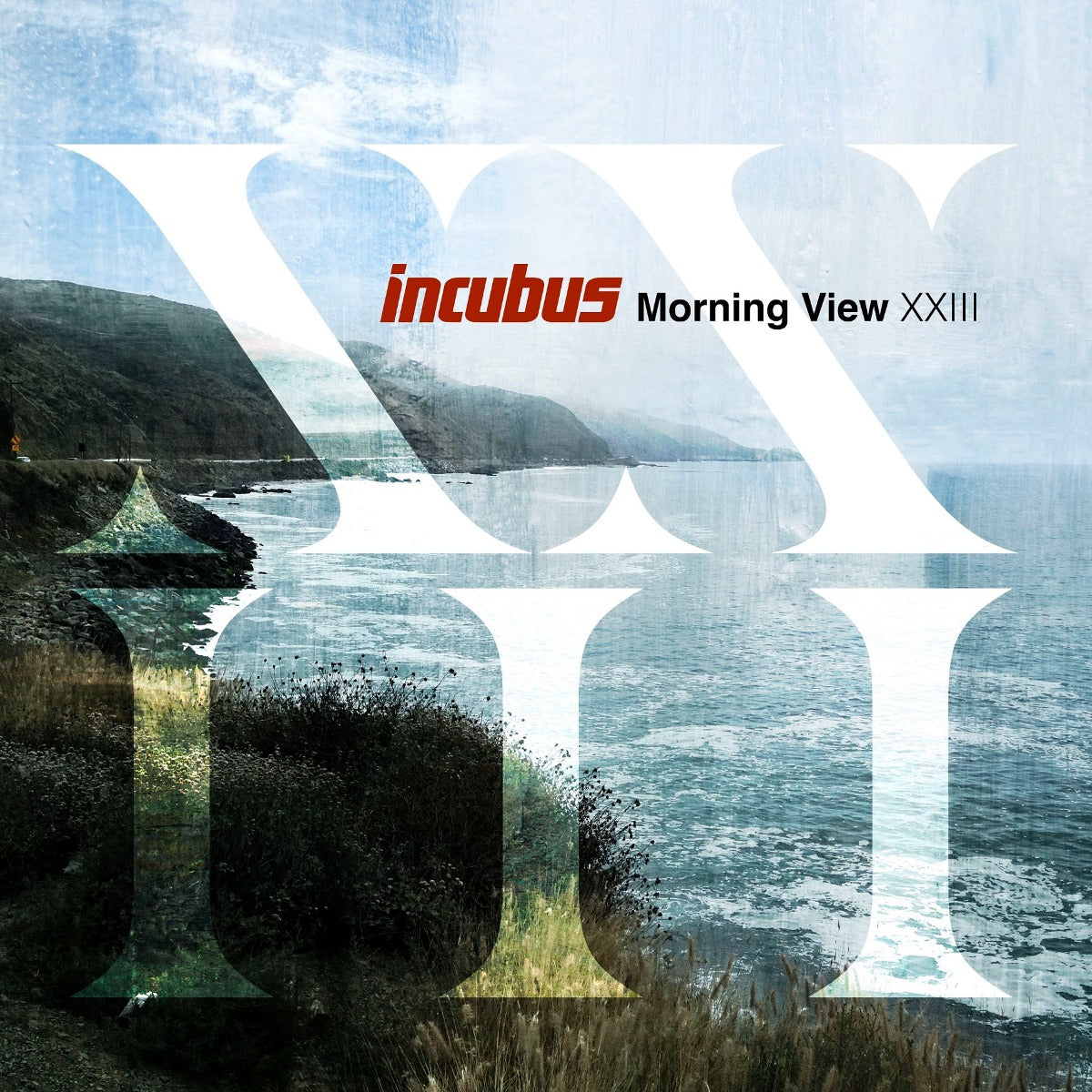 Incubus Morning View XXIII [2 LP]