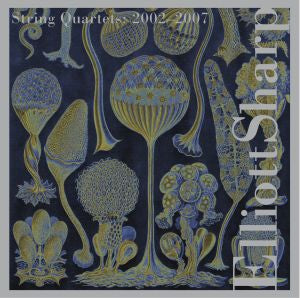 Jennifer / Huebner Choi Sharp: String Quartets Volume 2