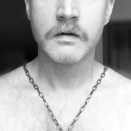 Logan Lynn New Money
