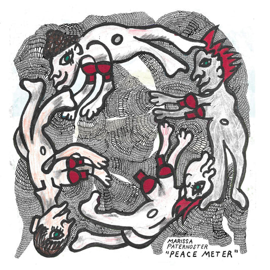 Marissa Paternoster Peace Meter