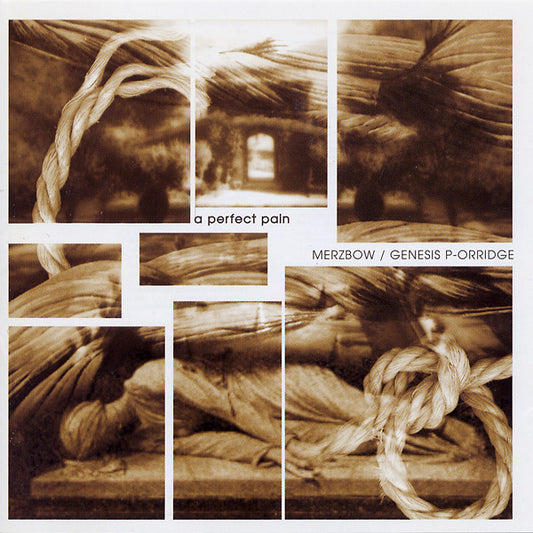 MERZBOW/GENESIS BREYER P-ORRIDGE A Perfect Pain