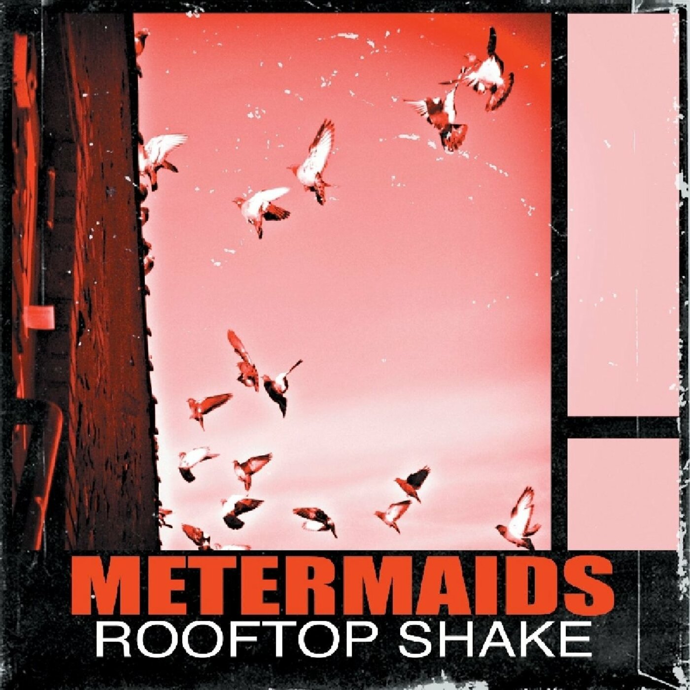 Metermaids Rooftop Shake
