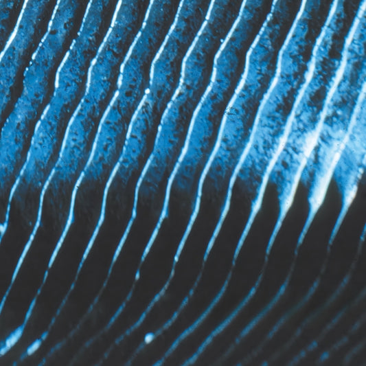 MONOLAKE Gravity