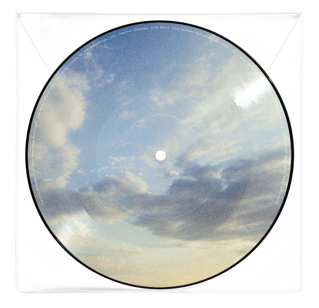 Niall Horan Meltdown (Picture Disc Vinyl) [Import] (7" Single)