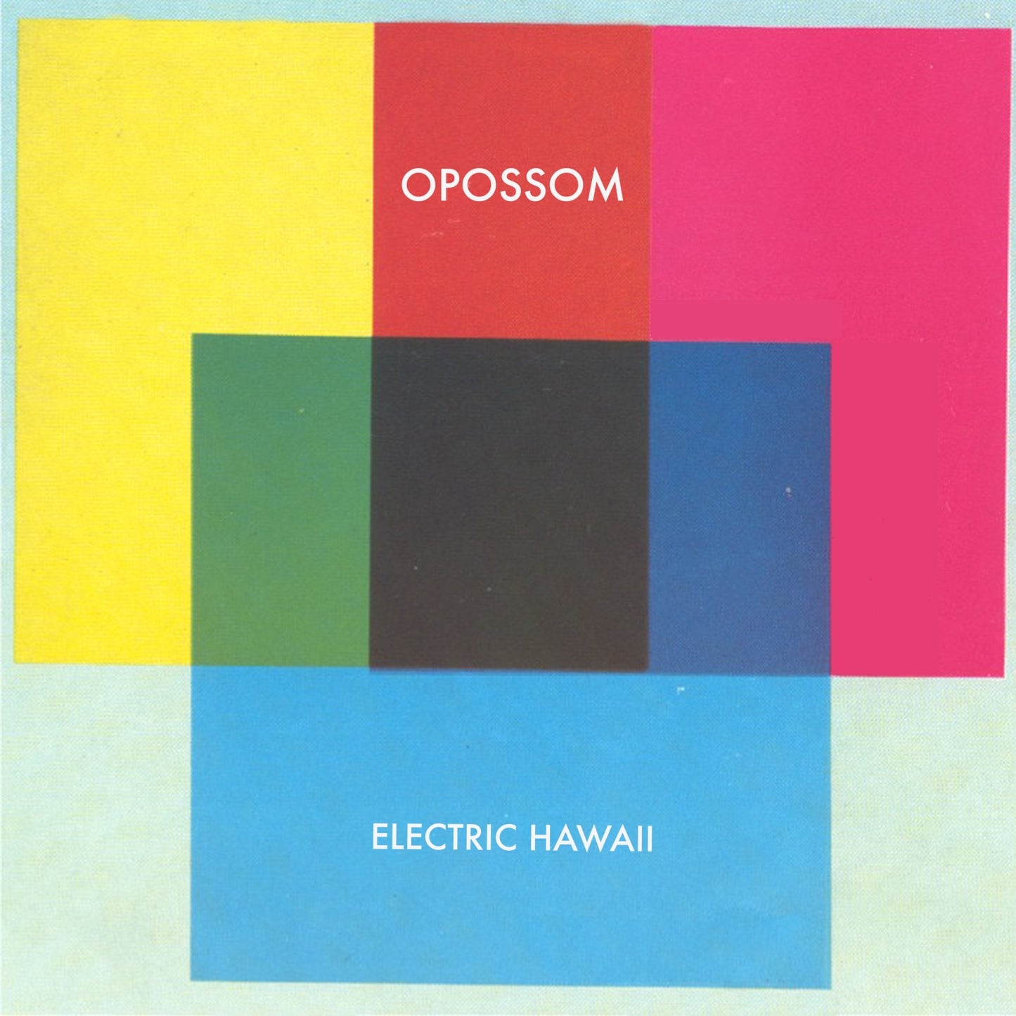 Opossom Electric Hawaii