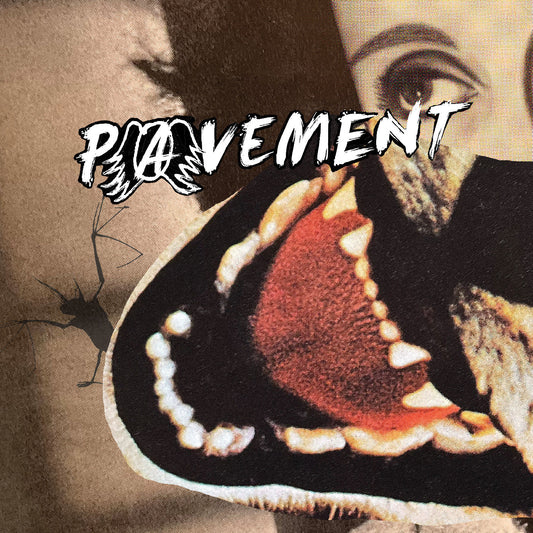 Pavement Hecklers Choice: Big Gums And Heavy Lifters - A Pavement Collection