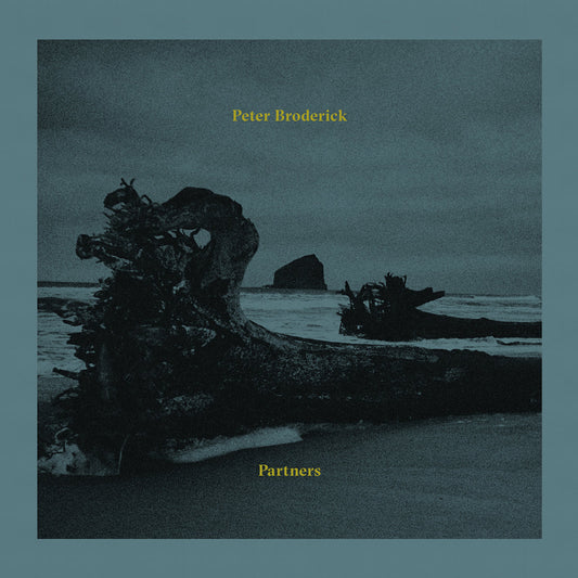Peter Broderick Partners
