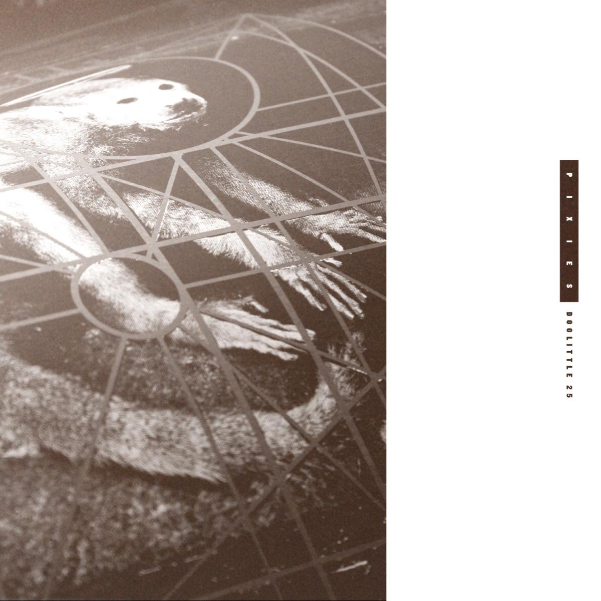 Pixies Doolittle 25: B-Sides Peel Sessions & Demos (3 Cd's)