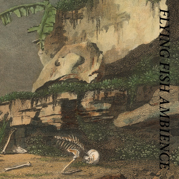 RAINFOREST SPIRITUAL ENSLAVEMENT Flying Fish Ambience
