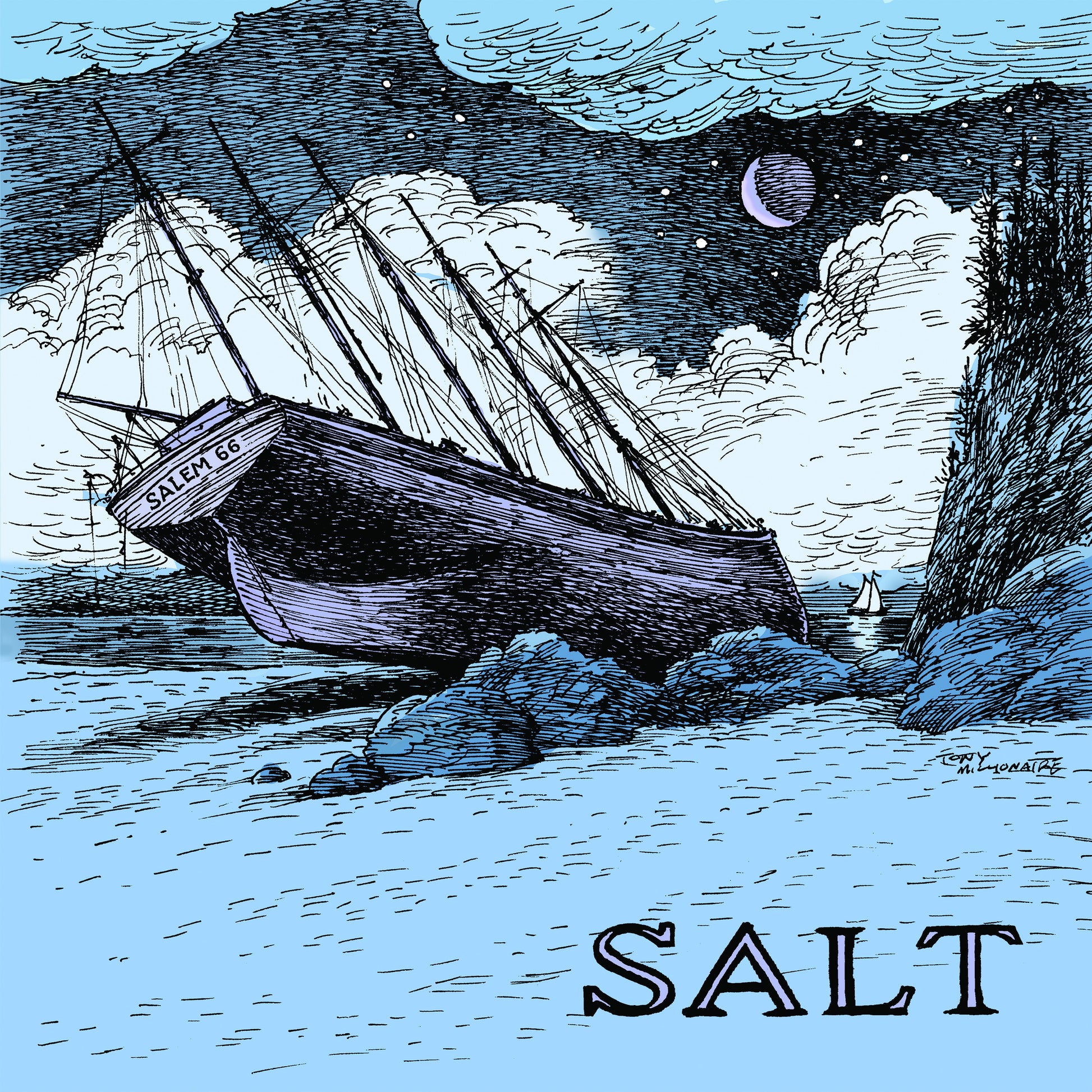 Salem 66 Salt