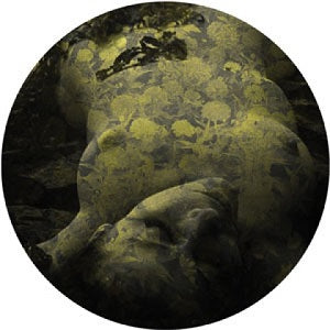 Salva Yellobone - 12