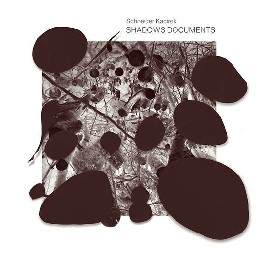 SCHNEIDER KACIREK Shadows Documents