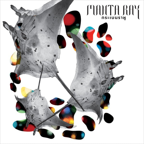 SNOWDROPS Manta Ray