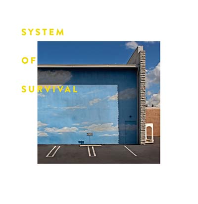 SYSTEM OF SURVIVAL Needle and Thread