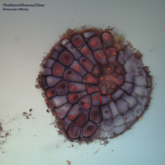THOLLEM MCDONAS/PAULINE OLVEROS/NELS CLINE Molecular Affinity