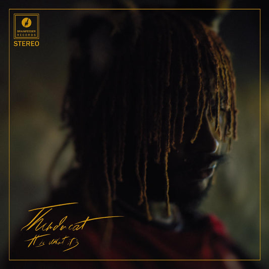 Thundercat It Is What It Is (Clear Vinyl)