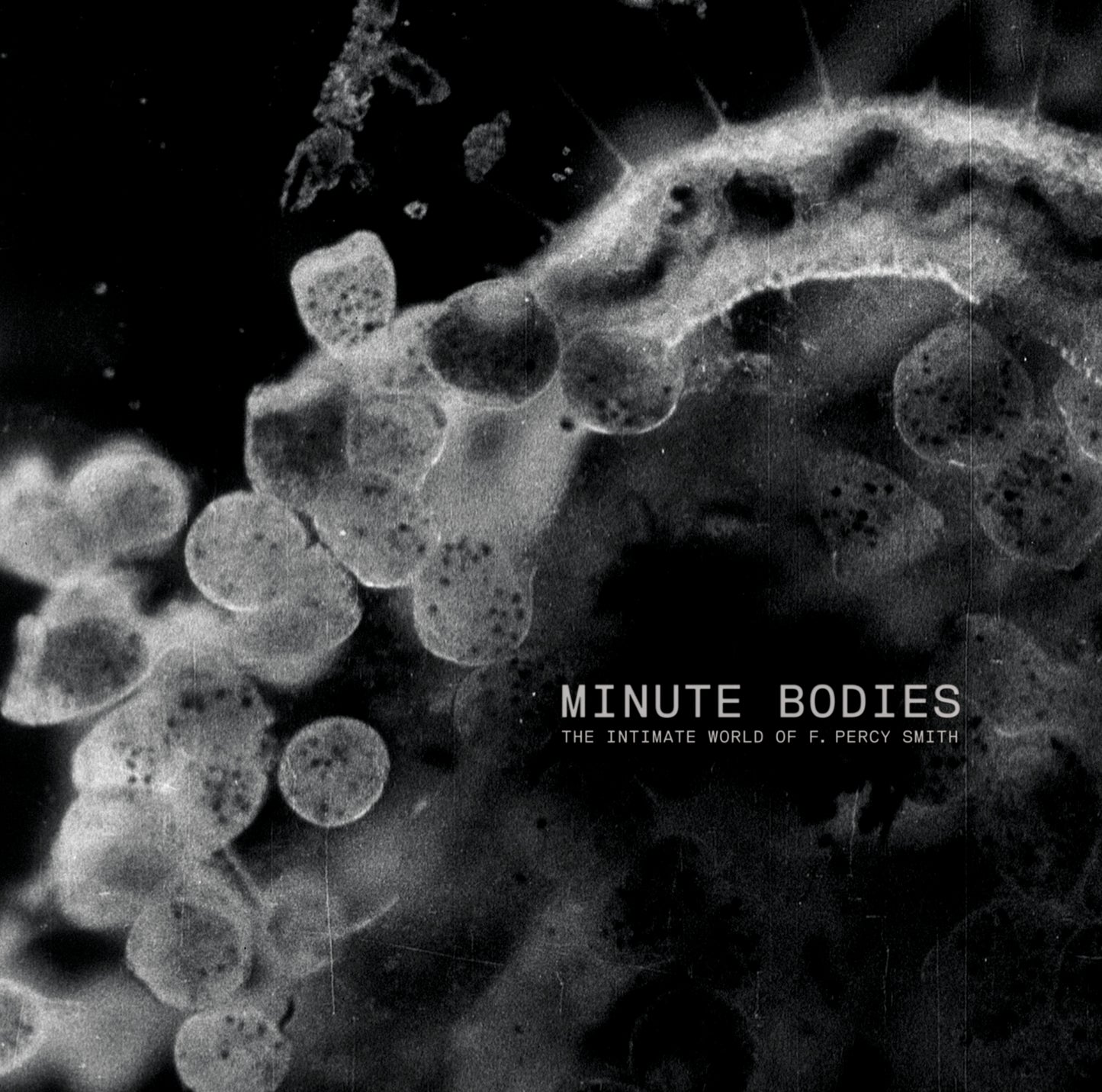 Tindersticks Minute Bodies: The Intimate World Of F. Percy Smith