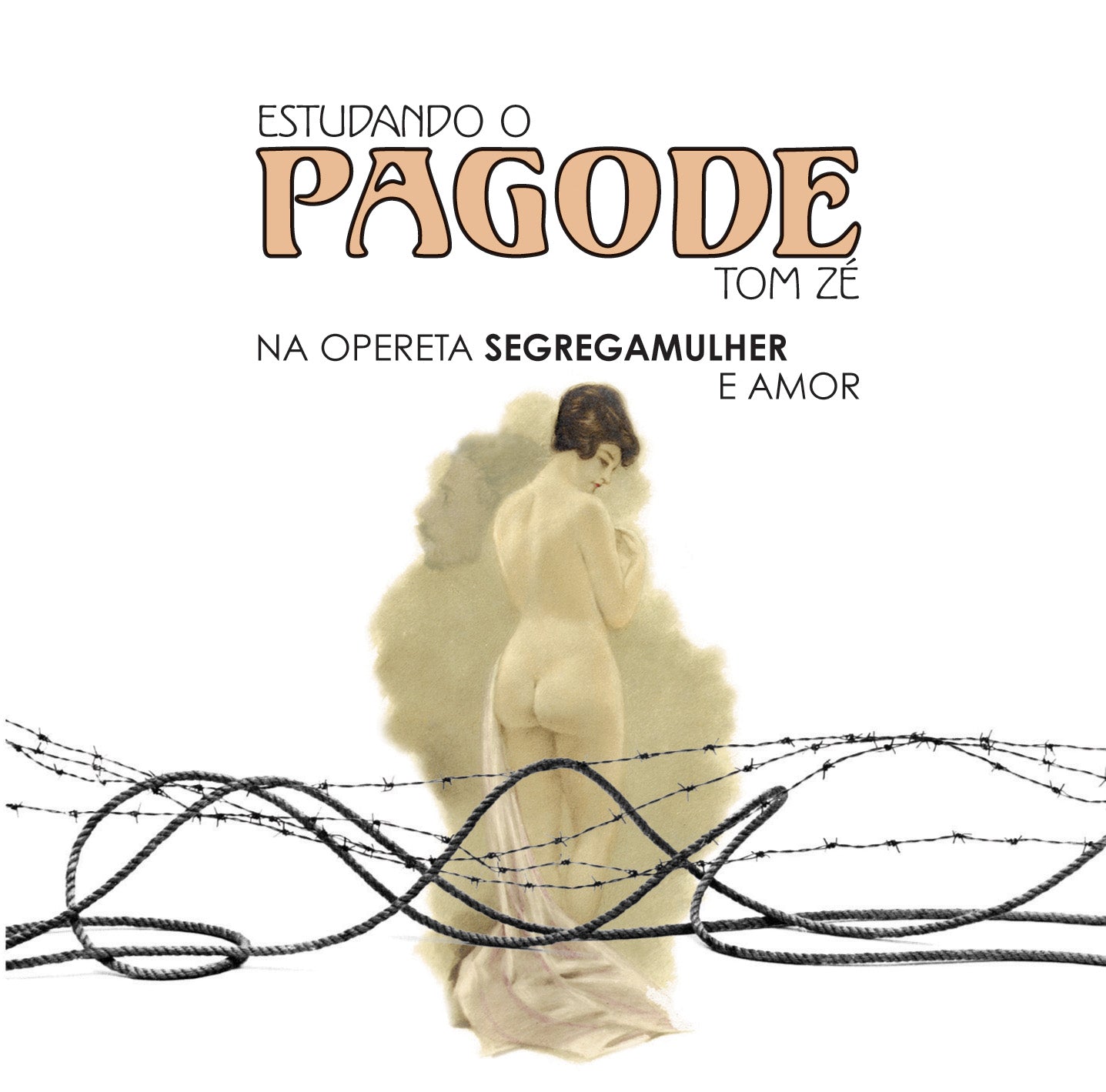 Tom Ze Estudando o Pagode