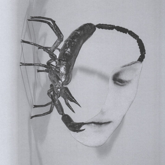 Tortoise Touch [140 Gram Black Vinyl]