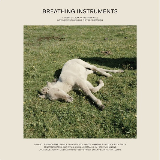 Va Breathing Instruments