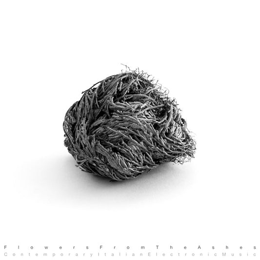 Va Flowers From The Ashes: Contemporary Italian Electronic Music