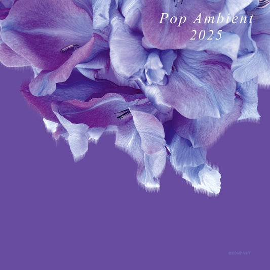 Various Atrists Pop Ambient 2025