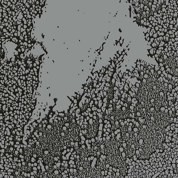 WALLS Urals