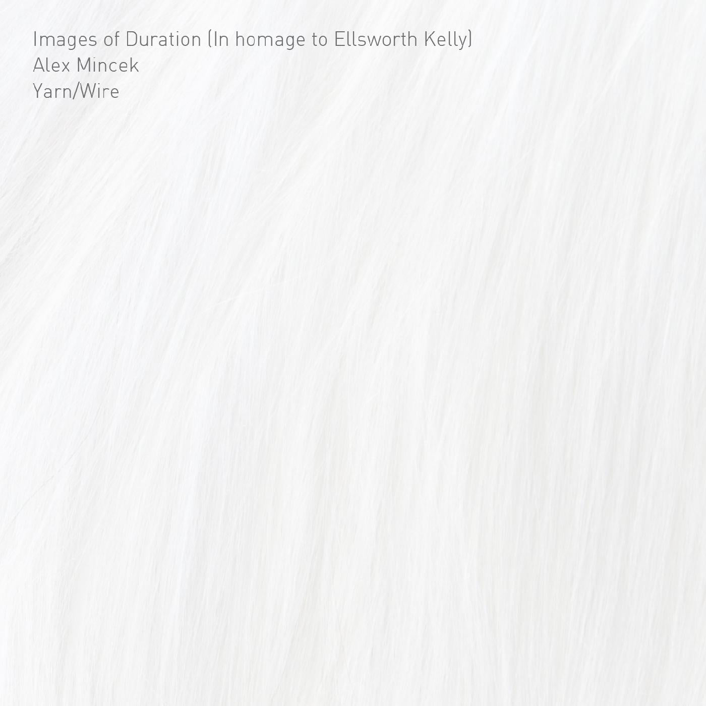 Yarn/Wire Images of Duration (In homage to Ellsworth Kelly)