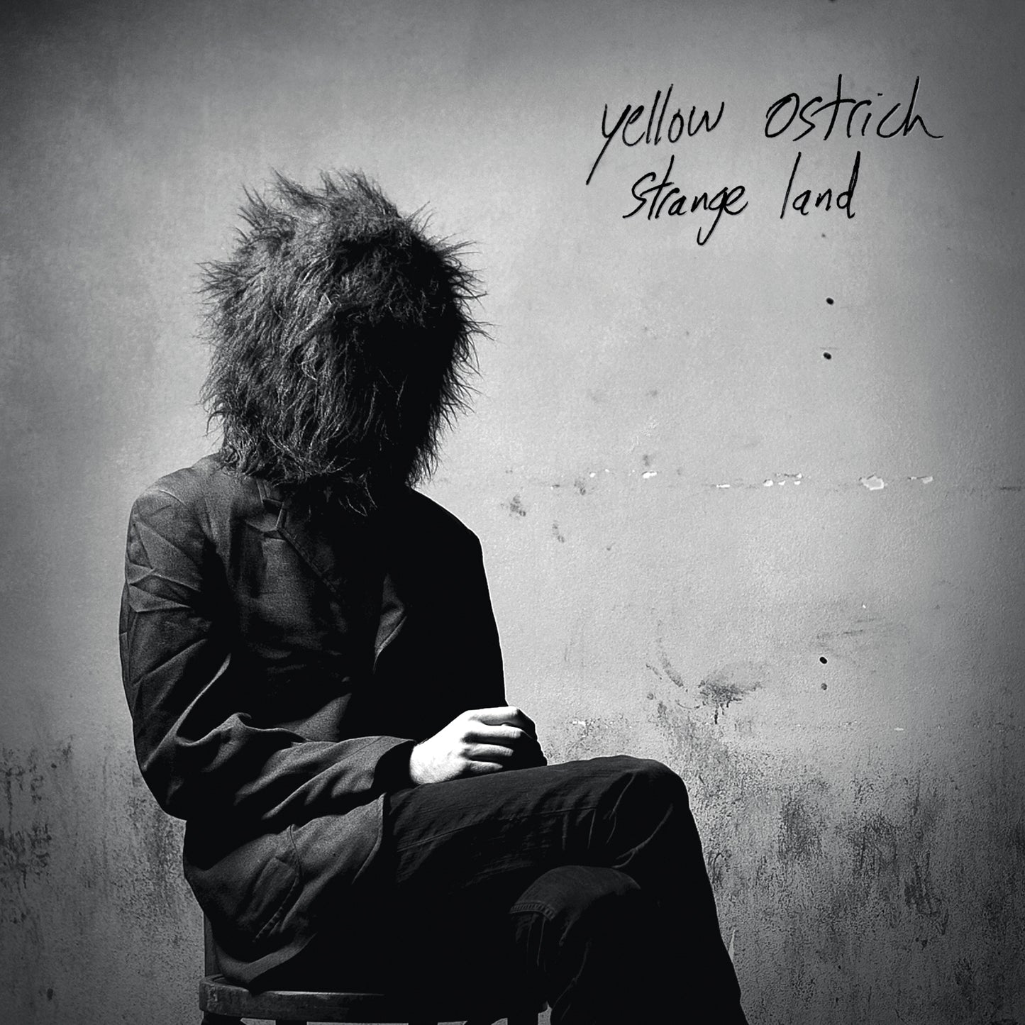 Yellow Ostrich Strange Land